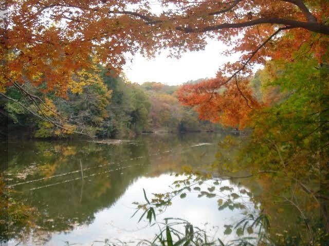 女優の岸井ゆきのの実家がある地元の風景