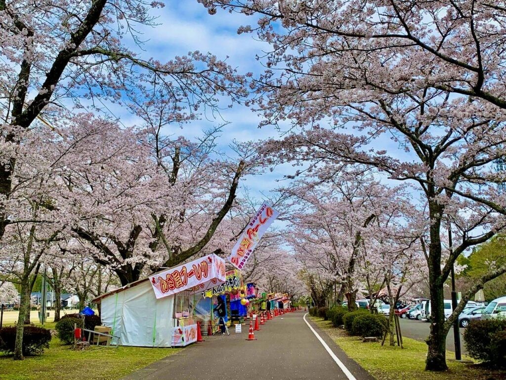 新納慎也の実家の先祖は戦国武将！両親(父・母)や兄弟など家族も調査！
