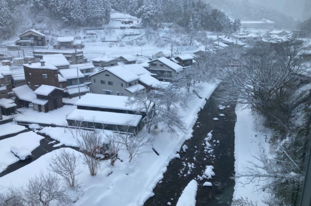 檀れい