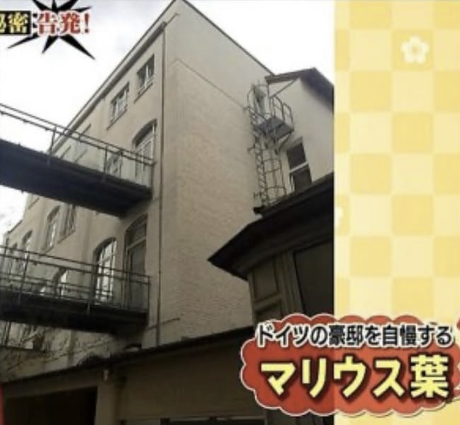 マリウス葉ドイツ実家１