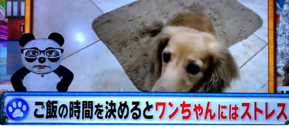 佐久間大介