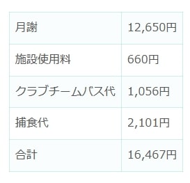 クラブチーム費用参考2