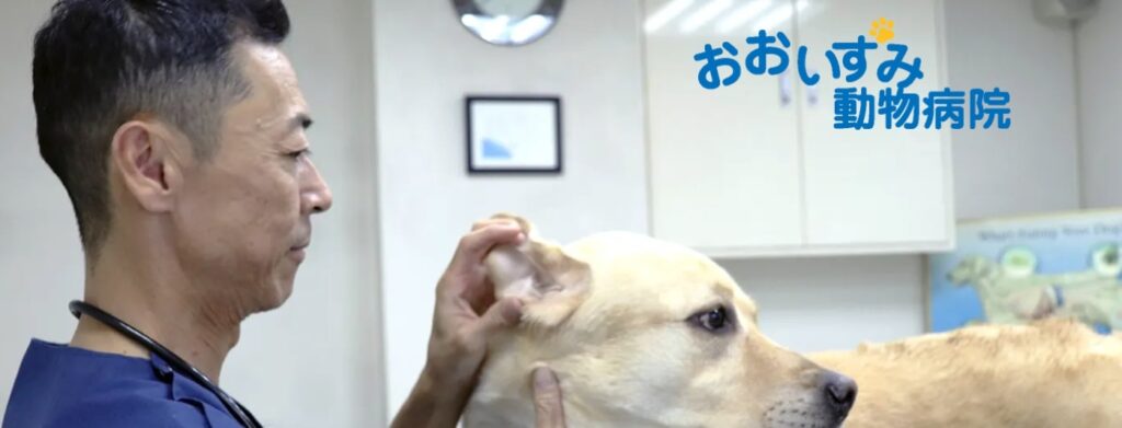 おおいずみ動物病院