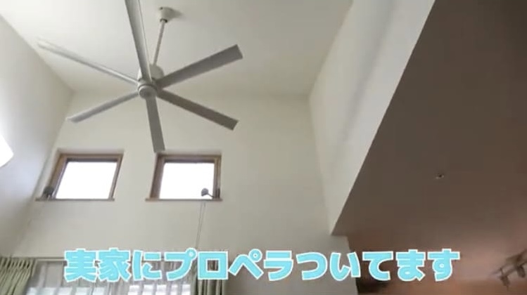 画像　吹き抜けファン