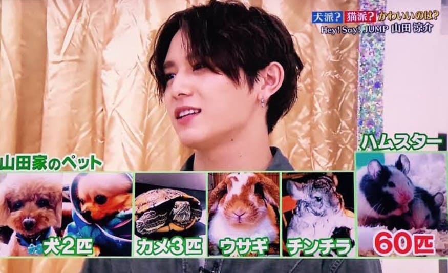 山田涼介