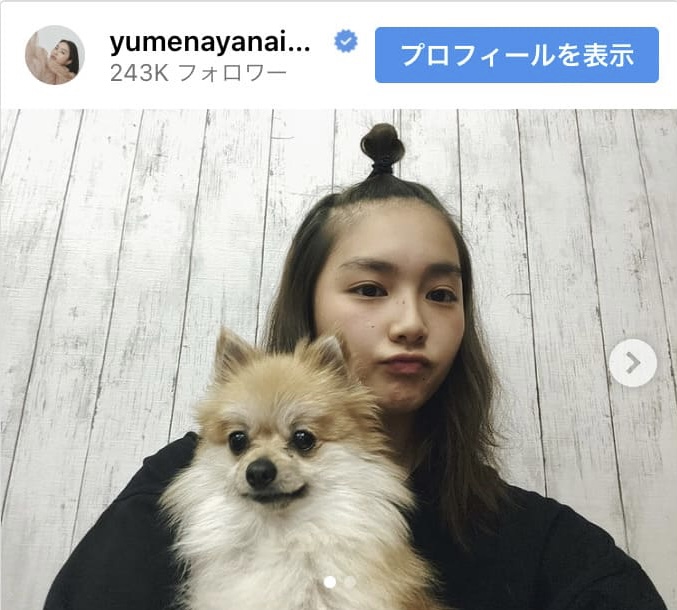 画像　愛犬のちゃむくん