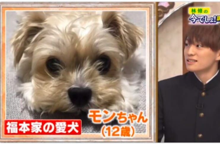 福本大晴の愛犬・モンちゃん