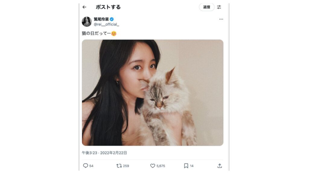 鷲尾怜奈さんの猫1
