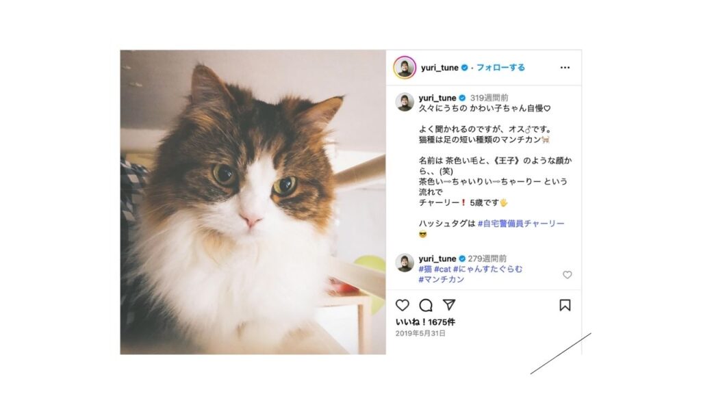 恒松 祐里さん９